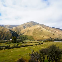 Ben Lomond Horse Treks
