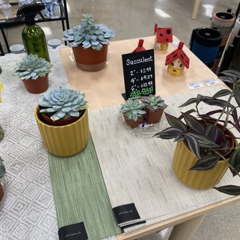 Ace Hardware - Plants - Hardware Stores Near Me - Lakewood, California