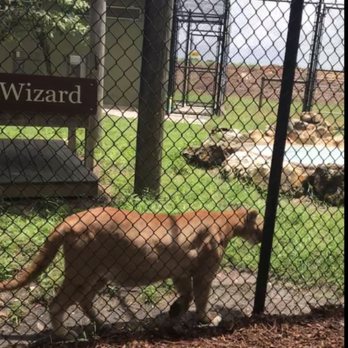 Busch Wildlife Sanctuary - Zoos Near Me - Jupiter, Florida