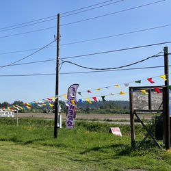 Fresh Flower Farm