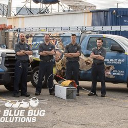 Big Blue Bug Solutions