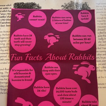 New Boston Inn Restaurant - Bunny facts! A cute little addition to the tables the day before Easter. - American Near Me - Sandisfield, Massachusetts
