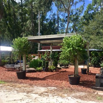 Bartram Trail Nursery - Nurseries & Gardening Near Me - Fruit Cove, Florida