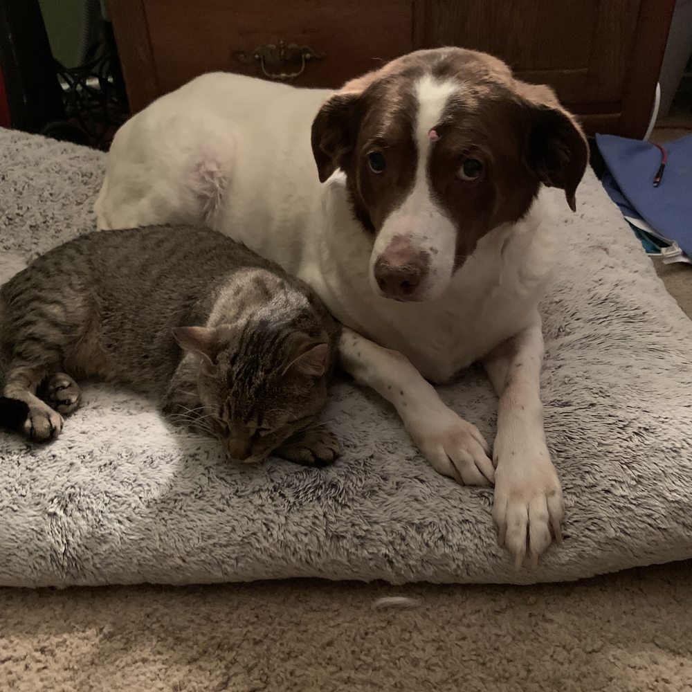 Dorothy and her kitty brother. Dorothy and her kitty brother.