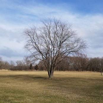 Deer Grove West - I'll add a new picture in 2 months - Parks Near Me - Palatine, Illinois
