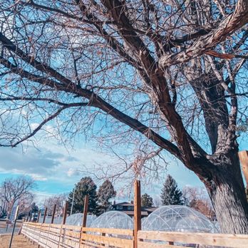 The Passenger - New American Near Me - Longmont, Colorado