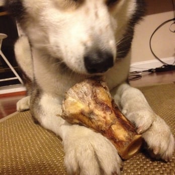 Biscuits Pet Boutique - Smoked Marrow bones sold here. Medium size $7.50 before tax. He's loving it. - Pet Stores Near Me - San Jose, California Biscuits Pet Boutique - Smoked Marrow bones sold here. Medium size $7.50 before tax. He's loving it. - Pet Stores Near Me - San Jose, California