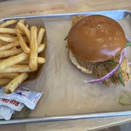 Frisbee sandwich and fries.