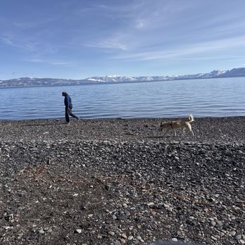 Waterman's Landing - Dogs are supposed to be unleashed but in practice very few people bother with that. It seems to work out. - Breakfast & Brunch Near Me - Carnelian Bay, California