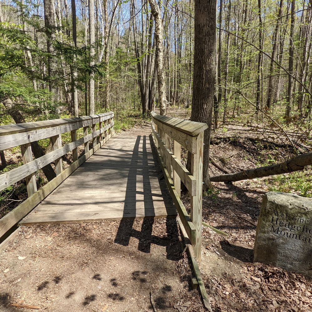 Hedgehog Mountain - Hiking Near Me - Freeport, Maine