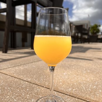NOPSI Hotel - Birthday mimosas in the rooftop pool - Hotels Near Me - New Orleans, Louisiana