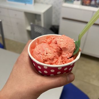 Sparky's Sweet Treats - Ice Cream & Frozen Yogurt Near Me - Key Largo, Florida