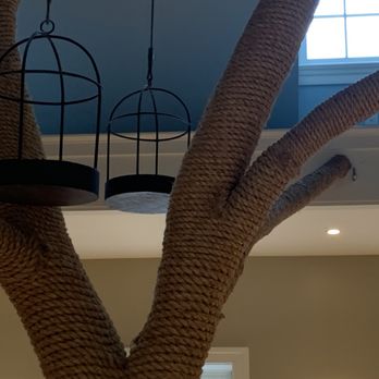 Cat Colloquium - Beautiful cat room - Community Service/Non-Profit Near Me - Chestertown, Maryland