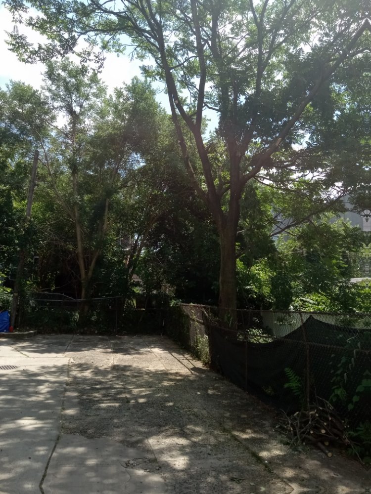 Slide of AP Servicios Generales