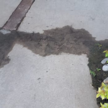 Beantree Coffee - This area is between the sidewalk path & their front door. Yuck!   It's constantly muddy & gross. - Coffee & Tea Near Me - Aurora, Colorado