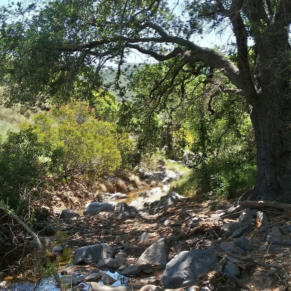 Oak Canyon Trail - Pass by creeks - Hiking Near Me Oak Canyon Trail - Pass by creeks - Hiking Near Me