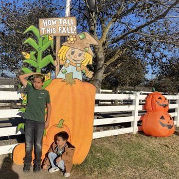 Borchard Farms - Kids activities - Pumpkin Patches Near Me - Salinas, California