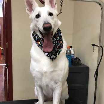 K & A  Grooming - Pet Groomers Near Me - Pflugerville, Texas