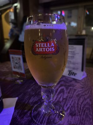 Darwin's Piano Bar by null