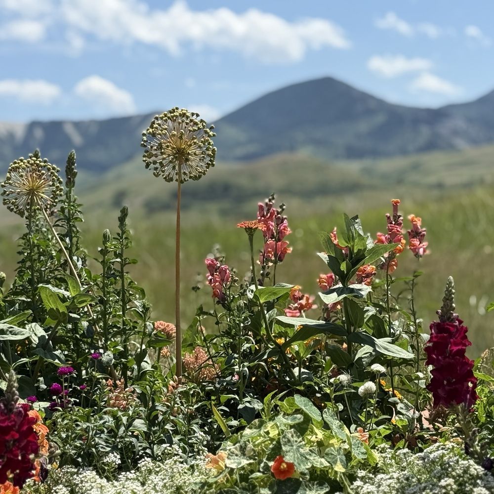 Brinton Bistro - Scenery - Cafes Near Me - Big Horn, Wyoming