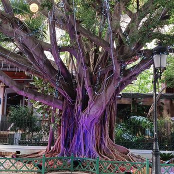 Paseo de la Princesa - Local Flavor Near Me - San Juan, Puerto Rico