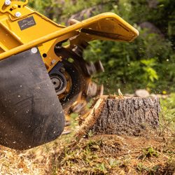 A Top Tree Service