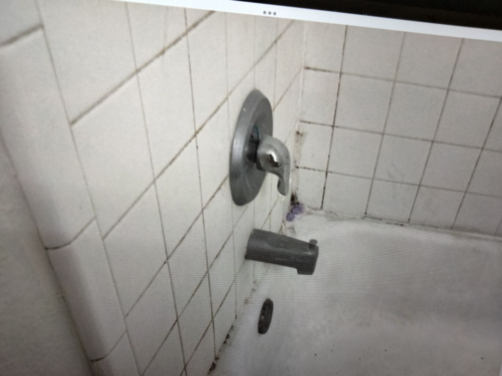 TROY STEAM CARPET & TILE CLEANING Updated October 2024 11 Photos