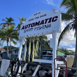 Automatic Sport Fishing - Our 5 Mahi Mahi!