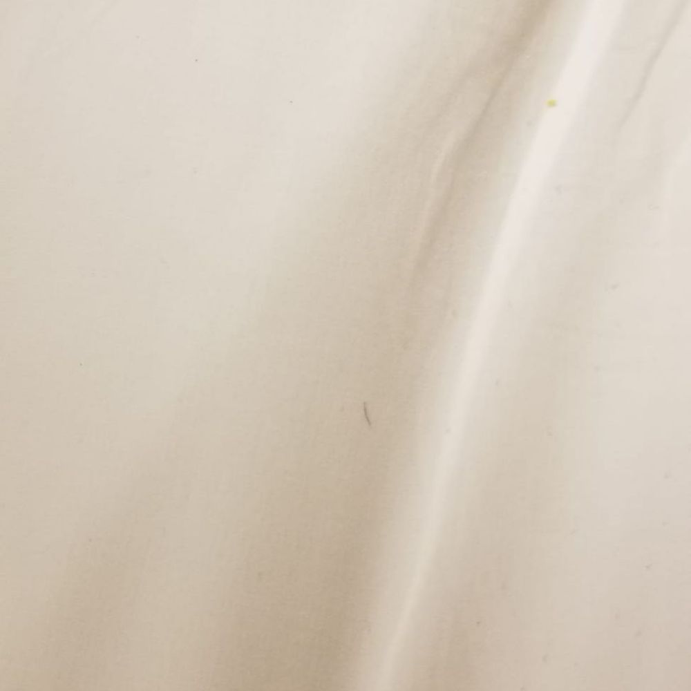 Oceanfront Inn - This place is not clean, see the bed sheets - Hotels Near Me - Virginia Beach, Virginia