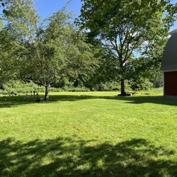 Tolt MacDonald Park - Barn Shelter - Grass field out side the shelter.