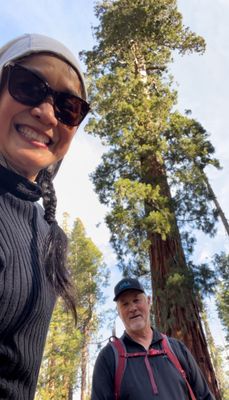 Mariposa Grove by null