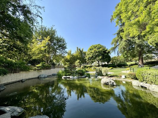 Japanese Garden by null