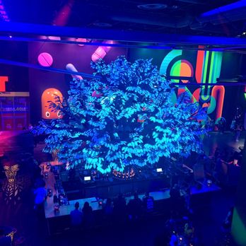 AREA15 - Oddwood Tree - Venues & Event Spaces Near Me - Las Vegas, Nevada