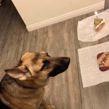 Three Dog Bakery - Pet Stores Near Me - Las Vegas, Nevada Three Dog Bakery - Pet Stores Near Me - Las Vegas, Nevada
