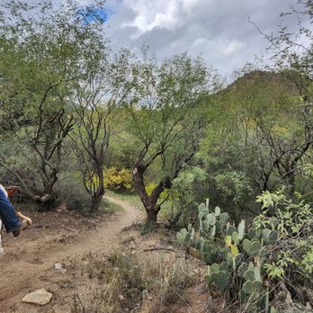 Boomerang Riding Adventures - Horseback Riding Near Me - Vail, Arizona