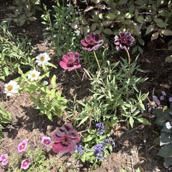 Bookworm Gardens - Botanical Gardens Near Me - Sheboygan, Wisconsin