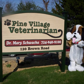 Pine Village Veterinarian - Veterinarians Near Me - Wexford, Pennsylvania Pine Village Veterinarian - Veterinarians Near Me - Wexford, Pennsylvania