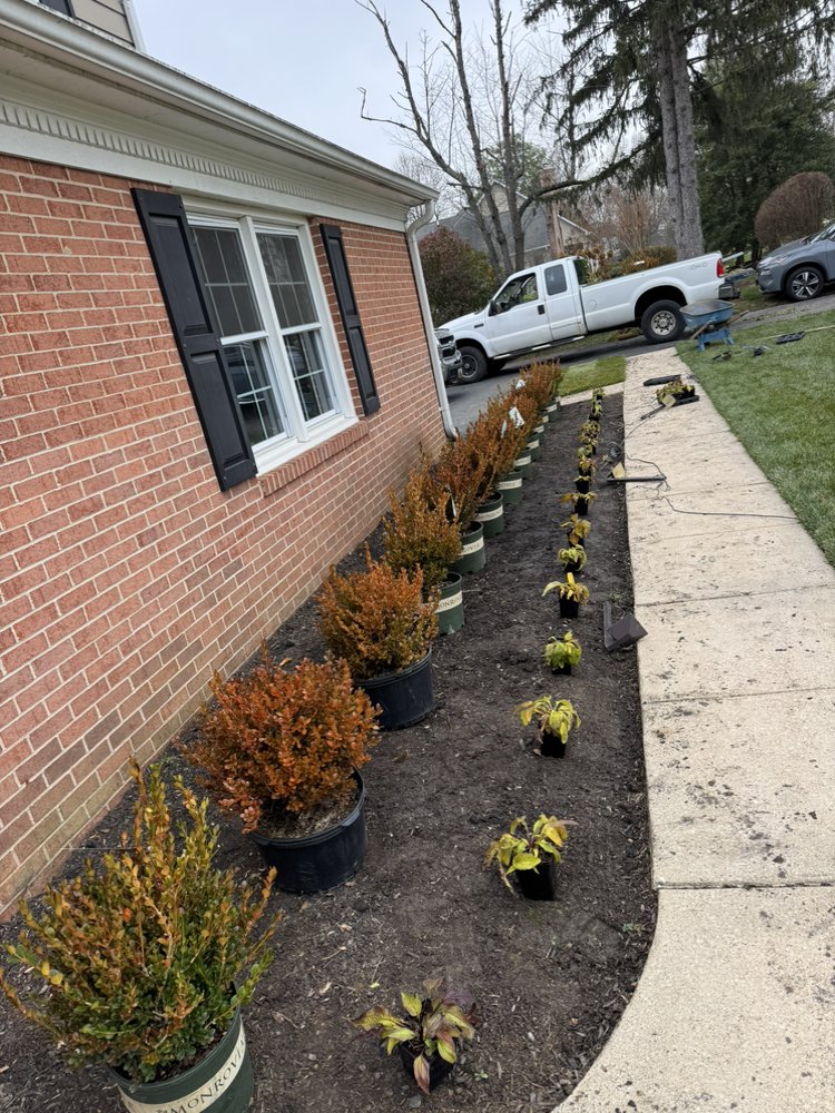 Gardens & Trees Landscaping - tree service in Owings Mills, MD
