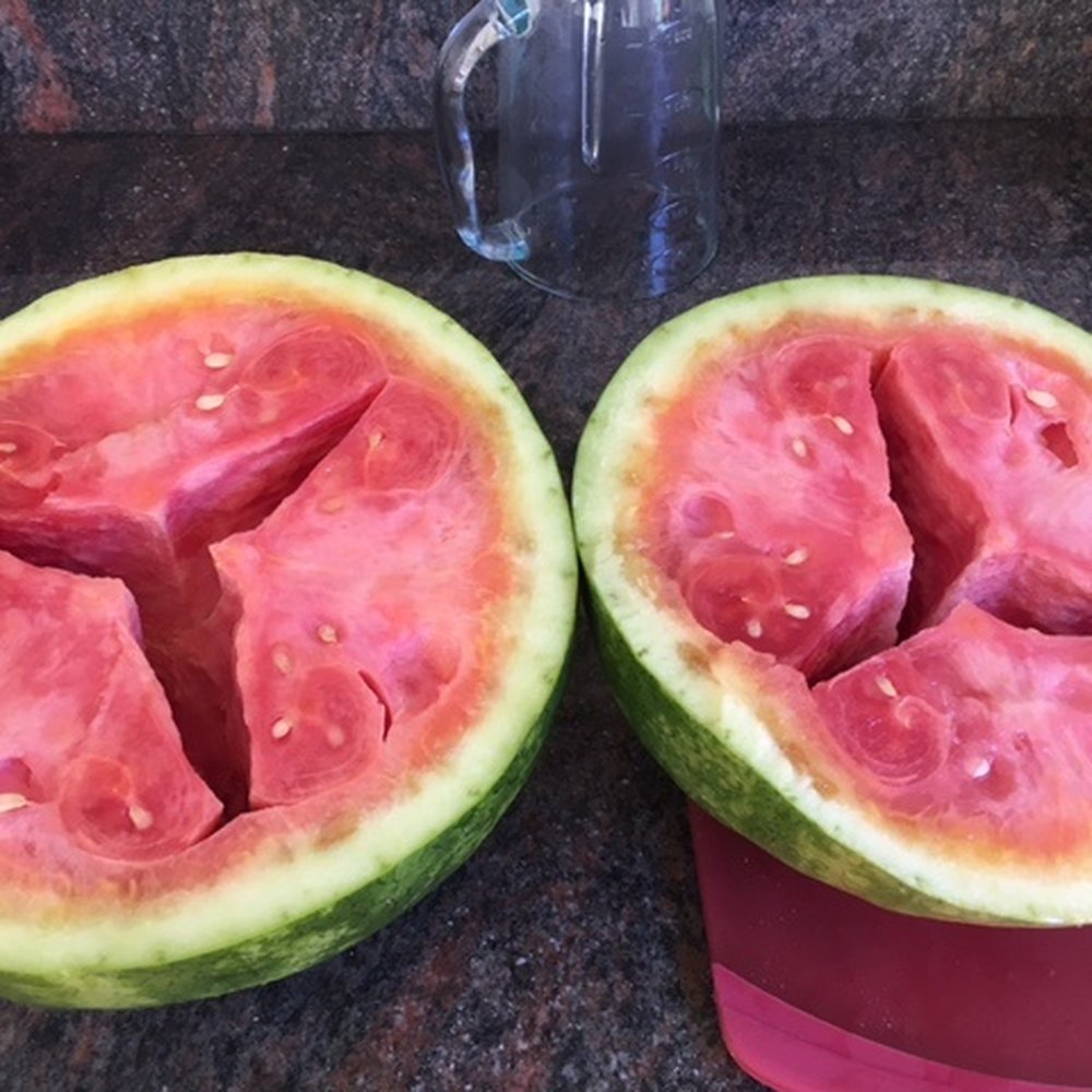 Raley's - Usual rotten produce from Raley's in Pleasanton - Grocery Near Me - Pleasanton, California Raley's - Usual rotten produce from Raley's in Pleasanton - Grocery Near Me - Pleasanton, California