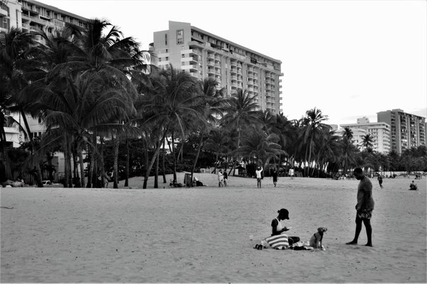 Isla Verde Beach West by null