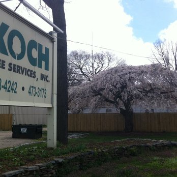 Koch Tree Svces - a sign for a tree service - Landscaping Near Me - Mount Sinai, New York Koch Tree Svces - a sign for a tree service - Landscaping Near Me - Mount Sinai, New York