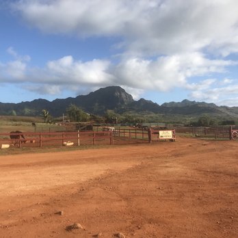 CJM Stables - Horseback Riding Near Me