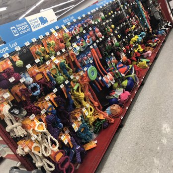 Petco - Dog Heaven. - Pet Stores Near Me - San Jose, California