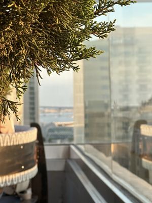 The Nolen Rooftop by null