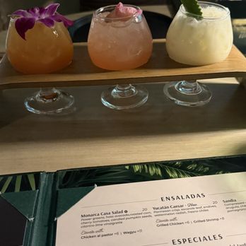 Cantina Monarca - Cocktail Bars Near Me - Bellevue, Washington