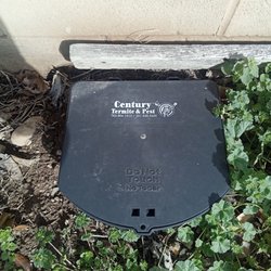 Century Termite and Pest