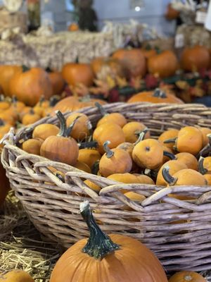 Tolmachoff Farms by null