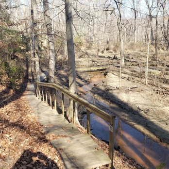 Jug Bay Wetlands Sanctuary - Where several trails meet- lot of bird activity - Parks Near Me - Lothian, Maryland