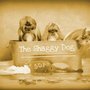 Photo of The Shaggy Dog