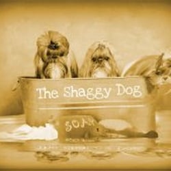 The Shaggy Dog